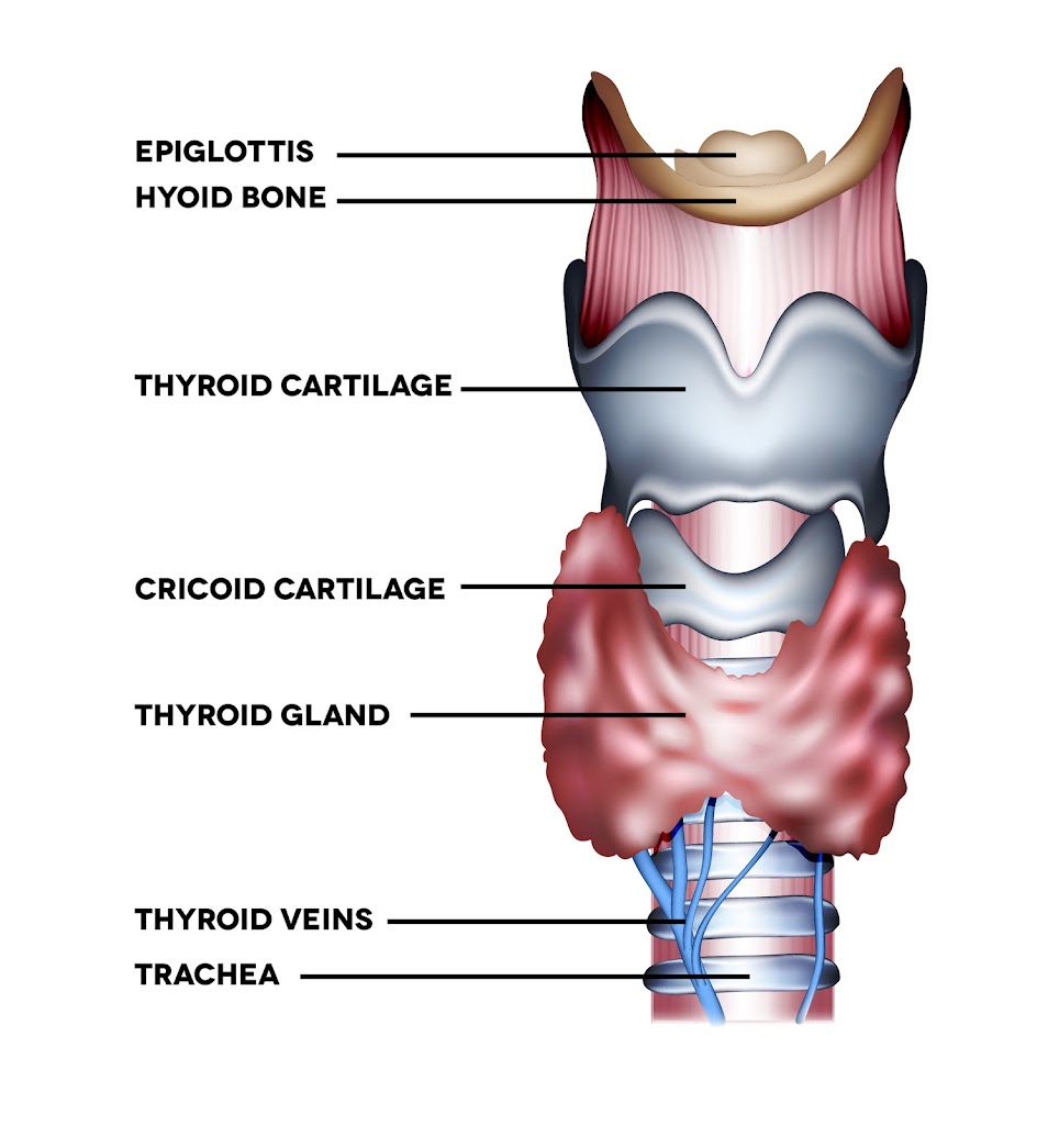 Raising and lowering the Larynx - should you? - Judy Rodman