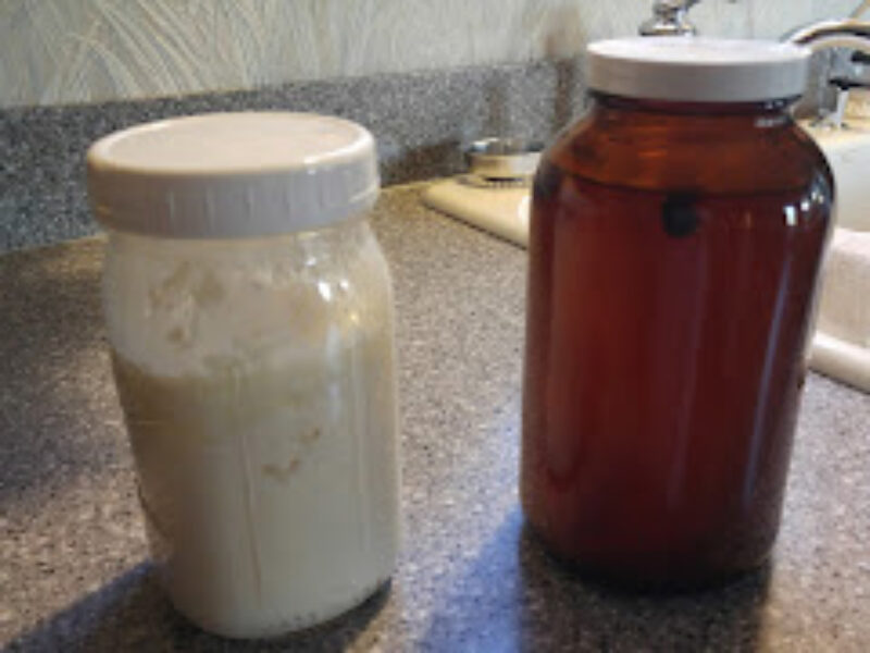 Milk kefir, water kefir homemade on kitchen countertop