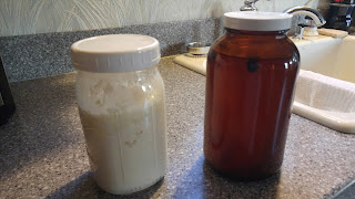 Milk kefir, water kefir homemade on kitchen countertop