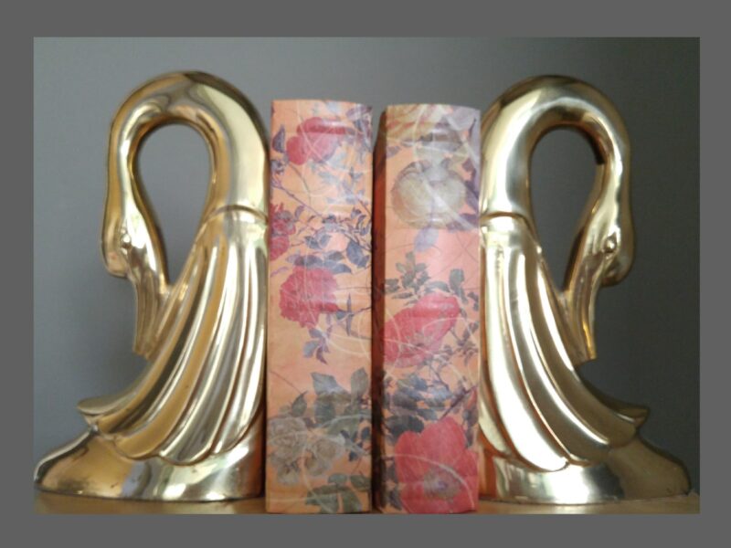 Brass duck bookends surrounding 2 books
